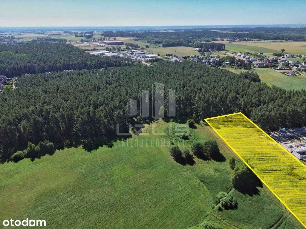 Działka w otoczeniu lasu - Pełny obrazek: 5/9