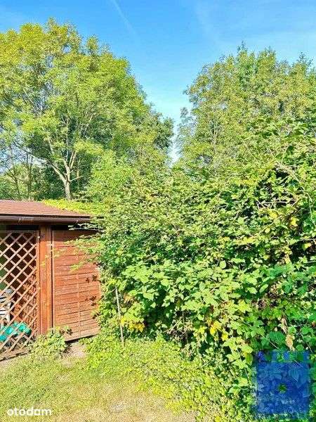 Gliwice, Szobiszowice, toszecka, 62-18