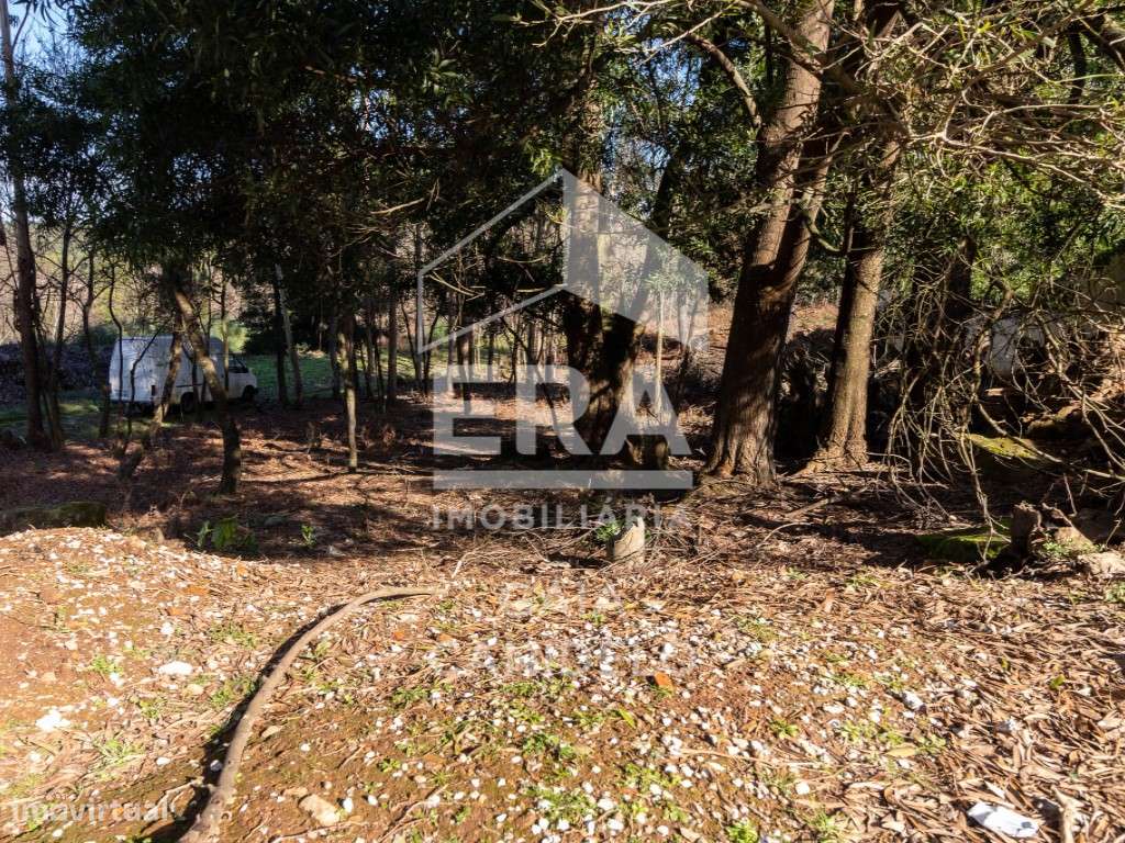 Lote com 760 m² Para Moradia - Grande imagem: 4/6