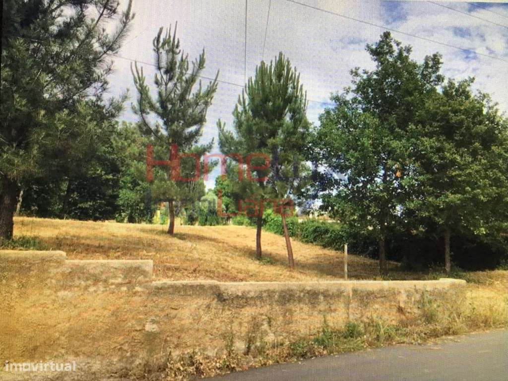 Quinta c/ 9 870 m2 em Valongo do Vouga - Grande imagem: 4/29