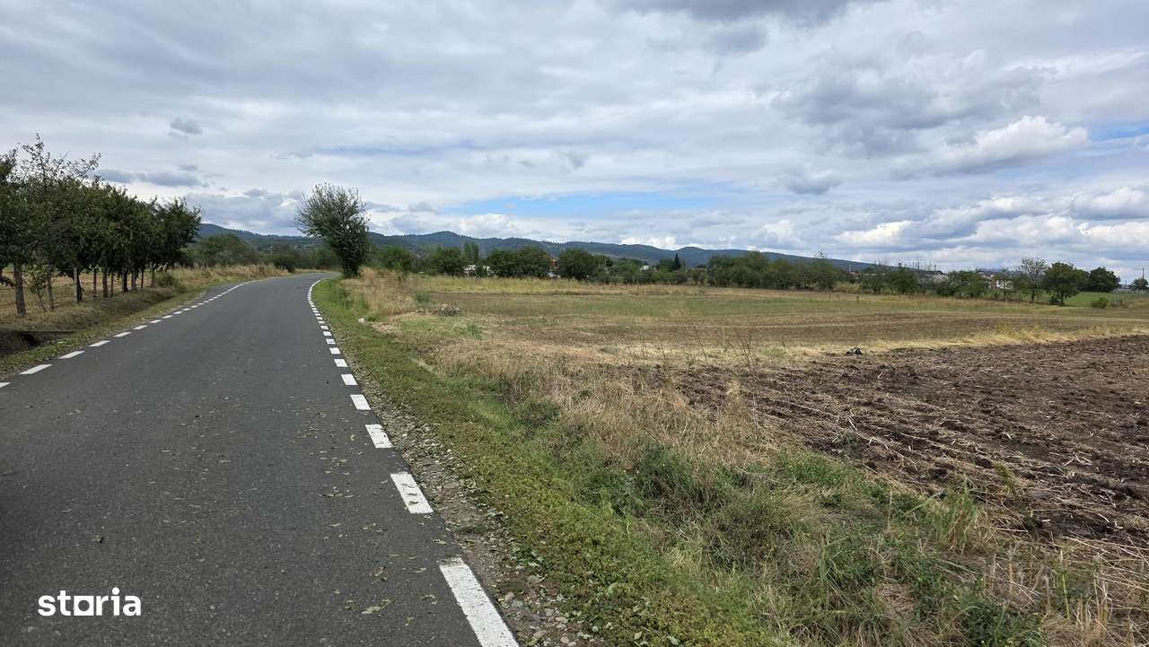 Teren Carligele - Imagine principală: 4/4