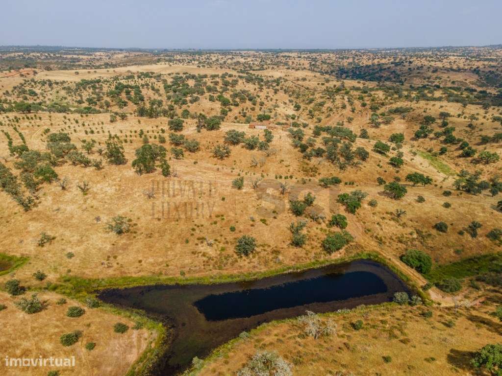 Herdade em Vila Nova de São Bento | 172 hectares-8