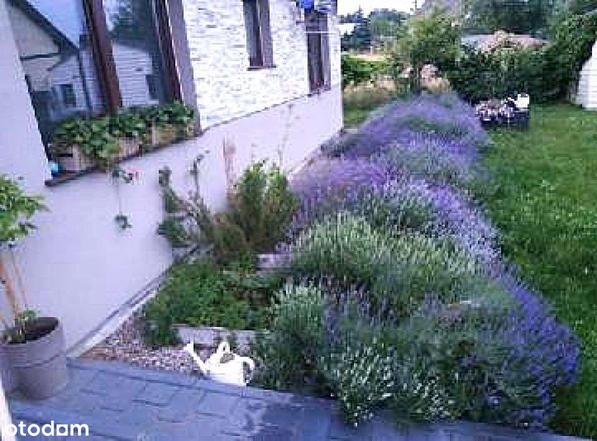 Dom wolnostojący/ 3 pok/działka/ garaż/Marszewo/ - Pełny obrazek: 5/20