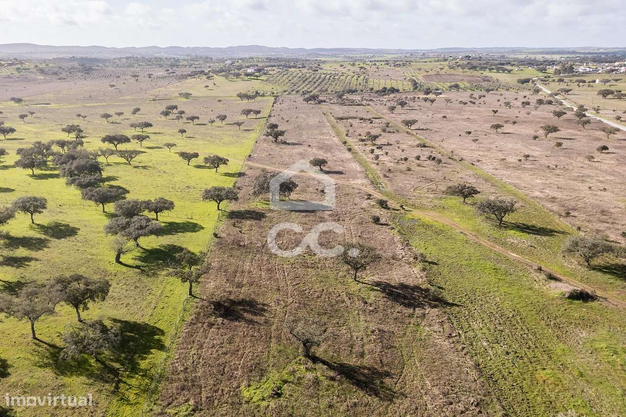 Terreno de 5,4 ha c/ Viabilidade de Construção | Capelins, Alandroal-31