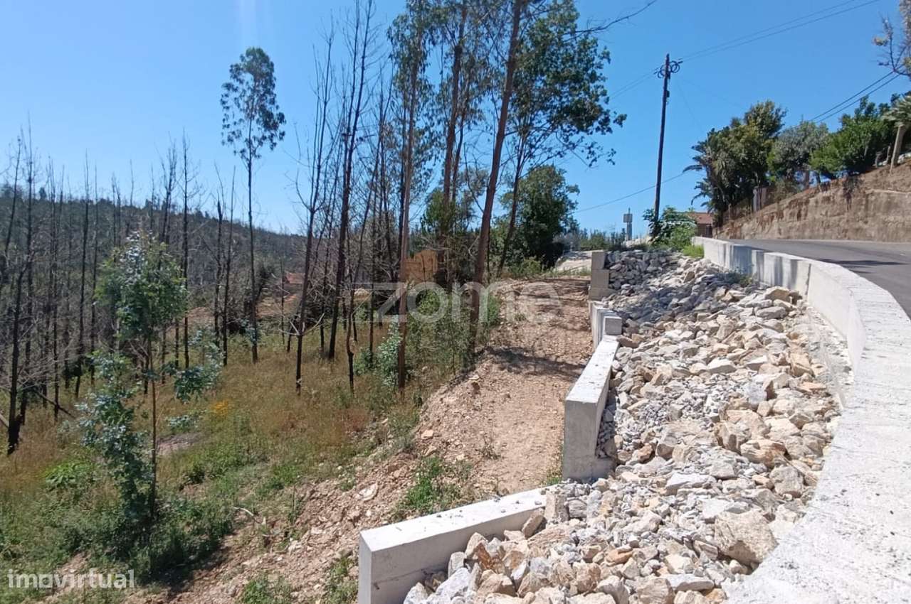 Terreno 1.412 m² | Construção, Habitação ou Indústria | Angeja-9