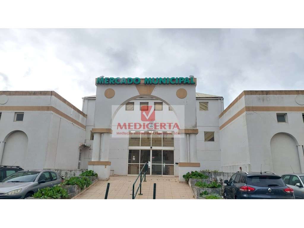 T2 - Tapada das Mercês - Grande imagem: 3/13