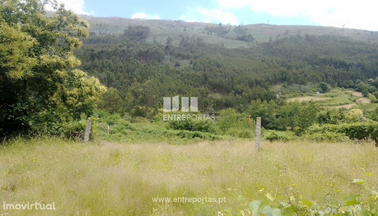 Venda Terreno, Santiago de Piães, Cinfães