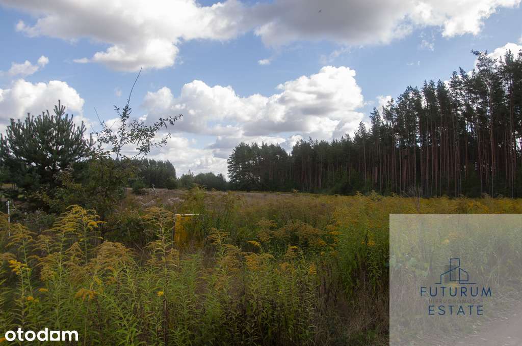 Działki budowlane na sprzedaż - Skrybicze-6