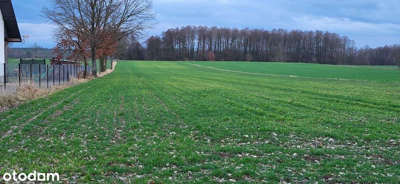 Sprzedam dużą działkę z MPZP