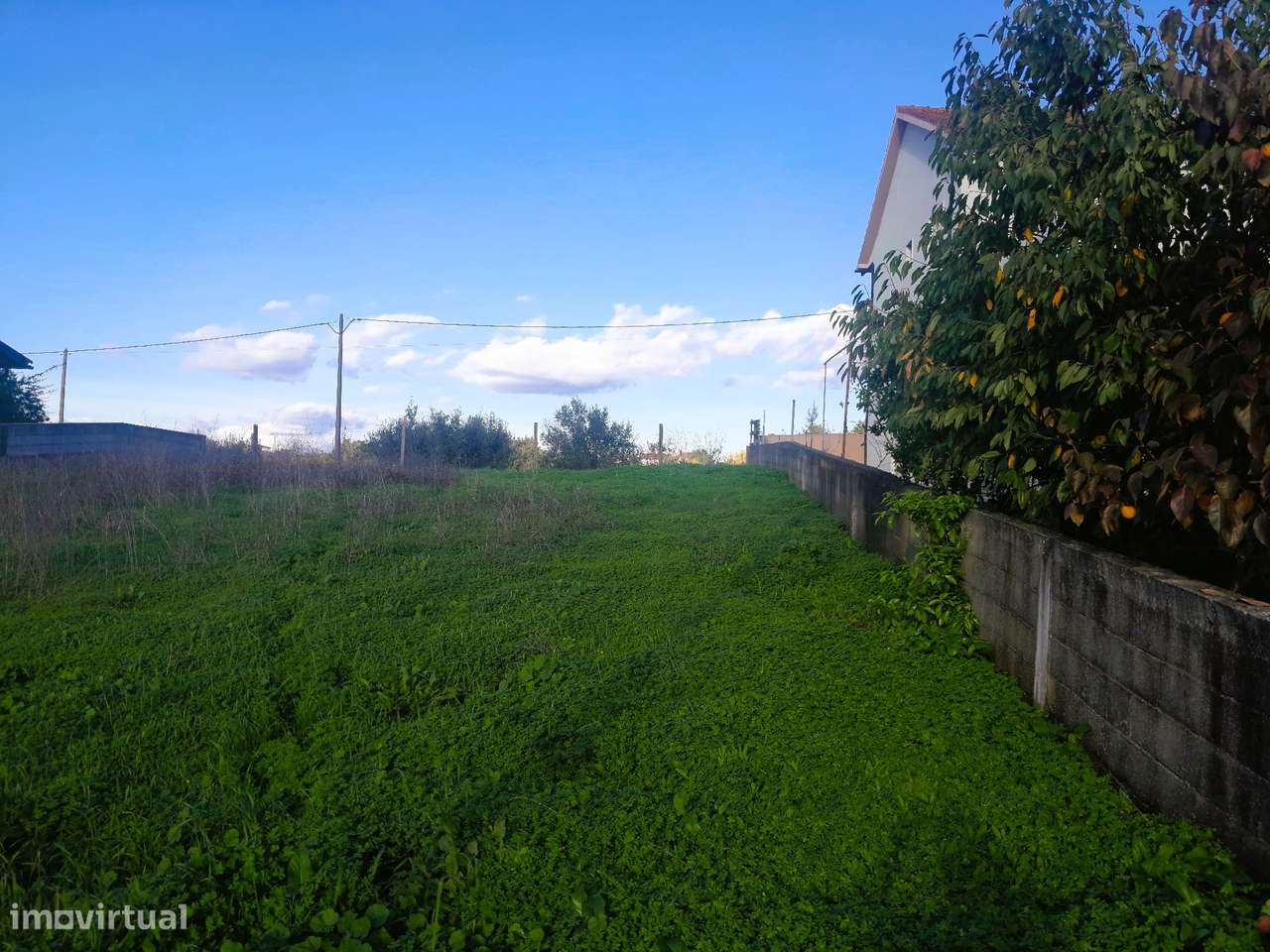 Terreno para Construção – Almalaguês, Coimbra-5