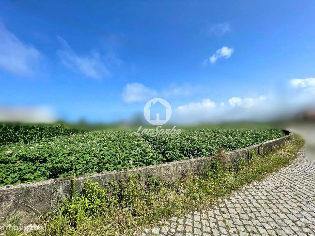 Terreno para construção em Esposende - Grande imagem: 5/27