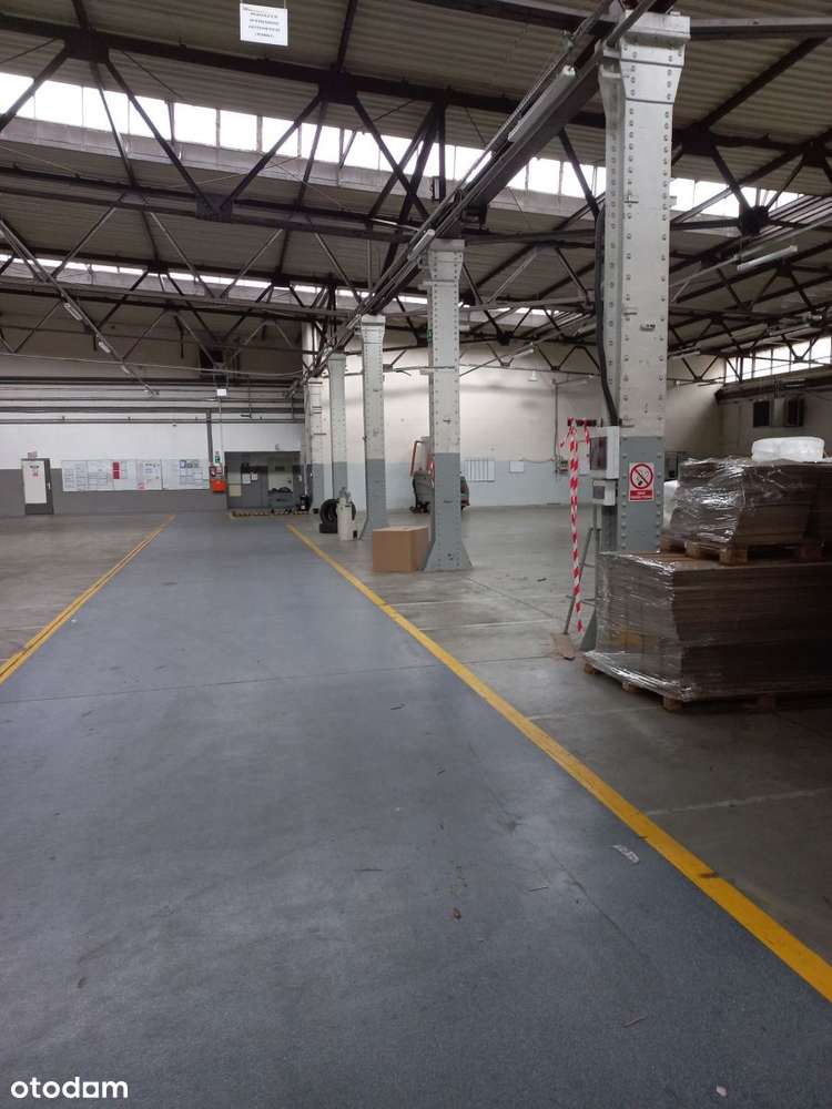 Hala Produkcyjna - Pełny obrazek: 5/13