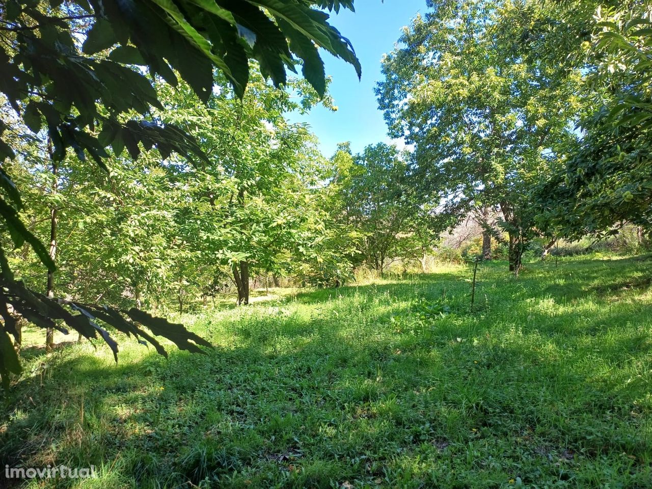 Quinta  Venda em Figueiró da Serra e Freixo da Serra,Gouveia