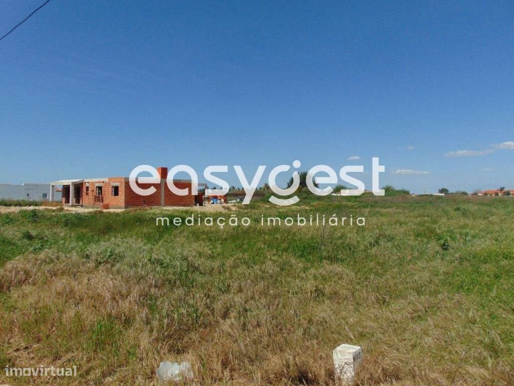 Excelente Terreno Misto com viabilidade de construção em Salvaterra - Grande imagem: 4/20