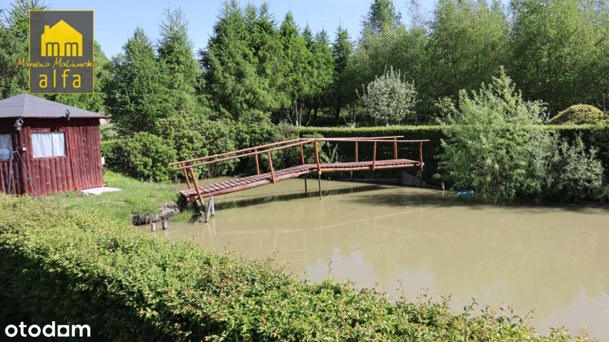 Urokliwa nieruchomość w Buśni. - Pełny obrazek: 4/19