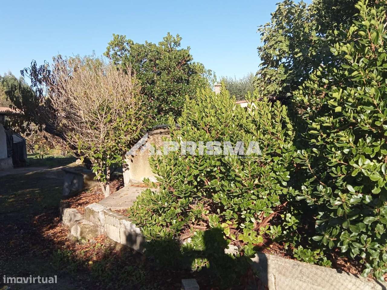 Quintinha para venda com construção rural para venda em Escalos de Bai-34