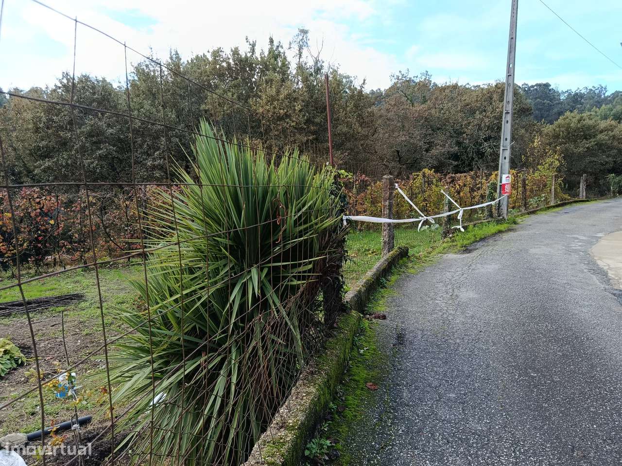Terreno para construção em Paços, Fafe - Grande imagem: 5/10