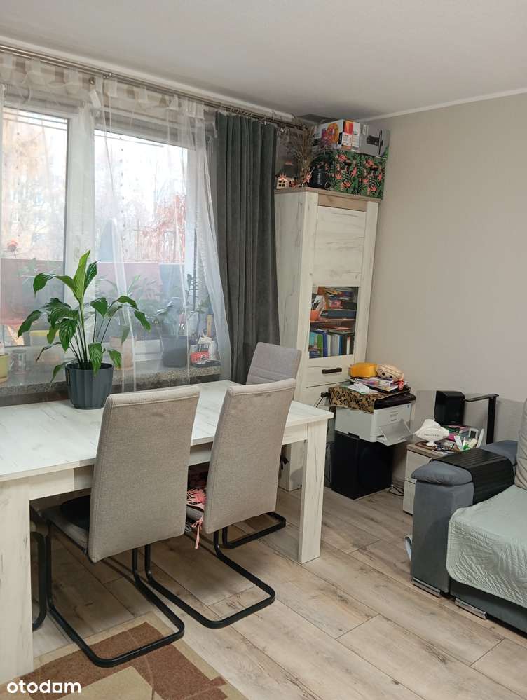 Mieszkanie  2 pokoje umeblowane do zamieszkania ul, Niepodległości - Pełny obrazek: 2/13