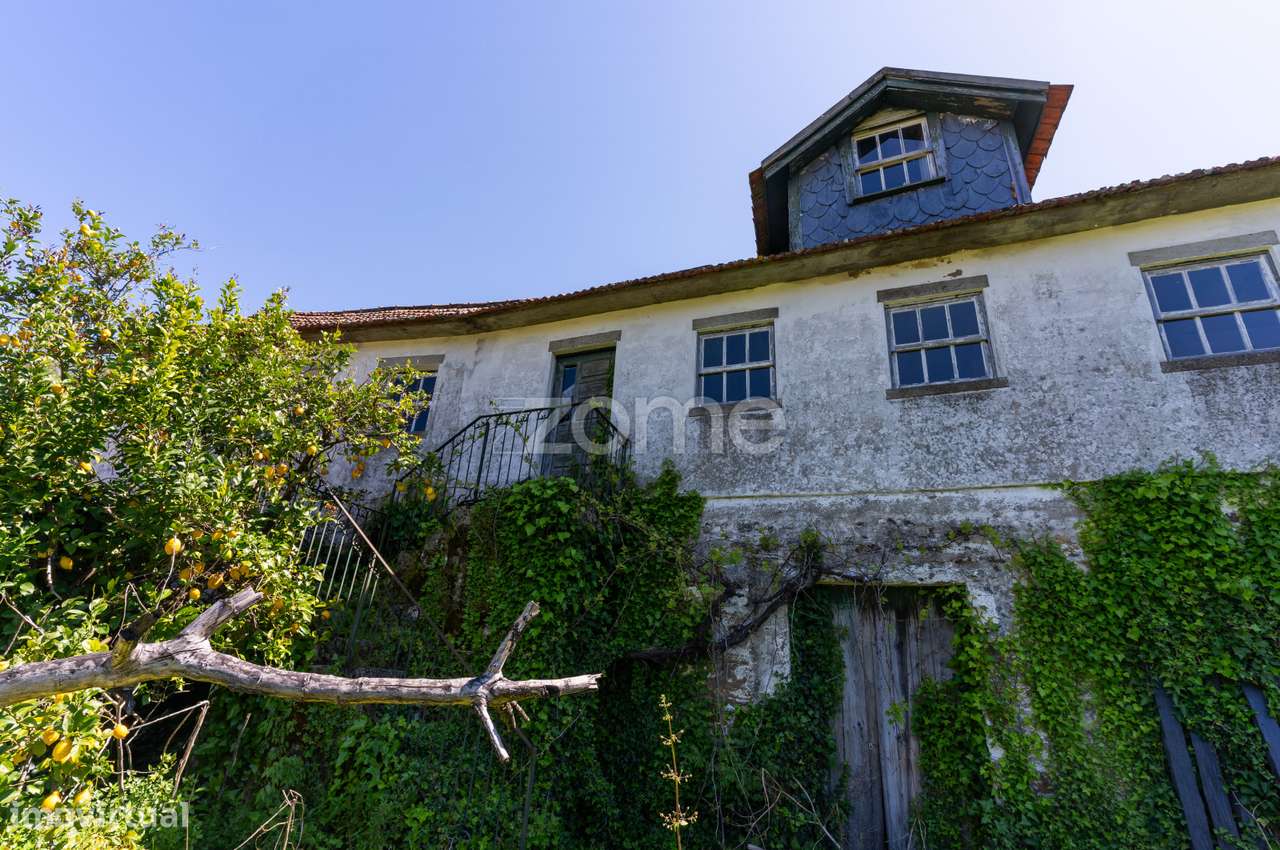 Casa agrícola - Sanhoane, Santa Marta de Penaguião - Grande imagem: 4/50