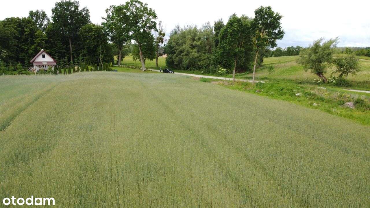 Duża działka w Bobrowie - blisko jezioro i szkoła! - Pełny obrazek: 5/7