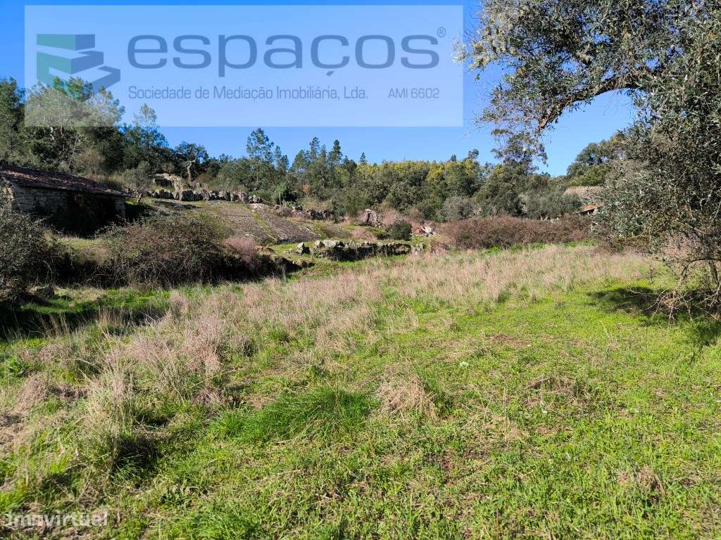 Terreno com casa em pedra e anexos - Palvarinho-16