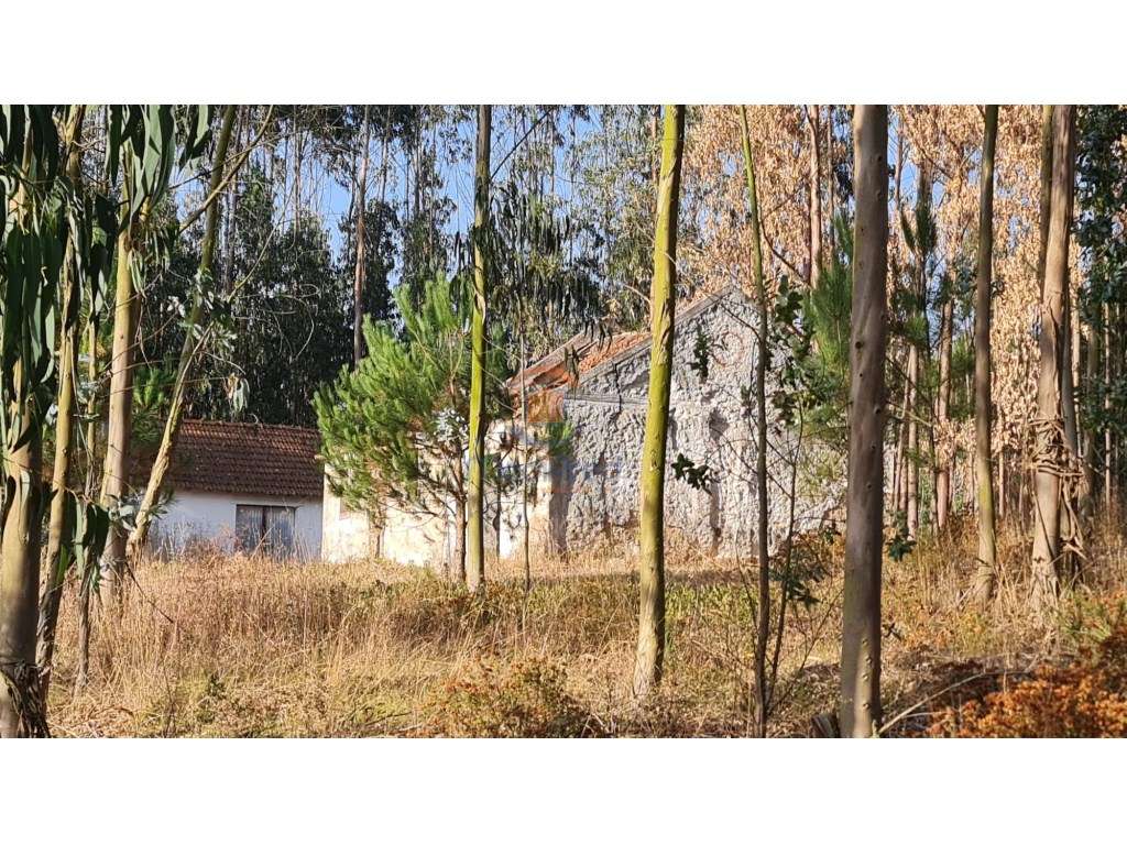 Casa e Adega com 4.200 m2 de terreno | Maxial, Torres Vedras - Grande imagem: 3/7