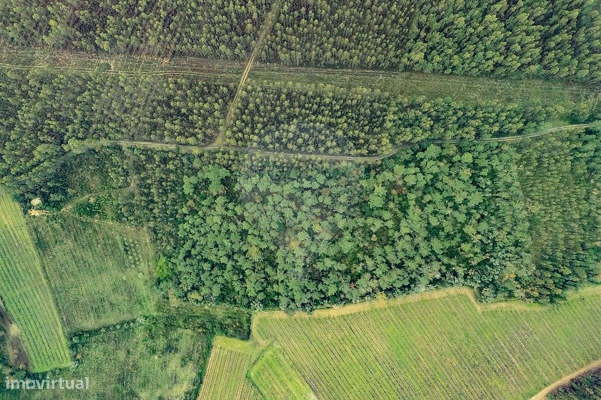 Terreno  para venda - Grande imagem: 4/16