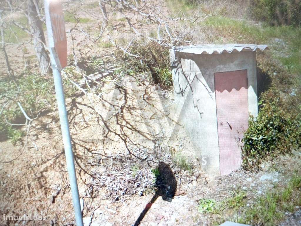 Terreno _ Batalha - Grande imagem: 4/5