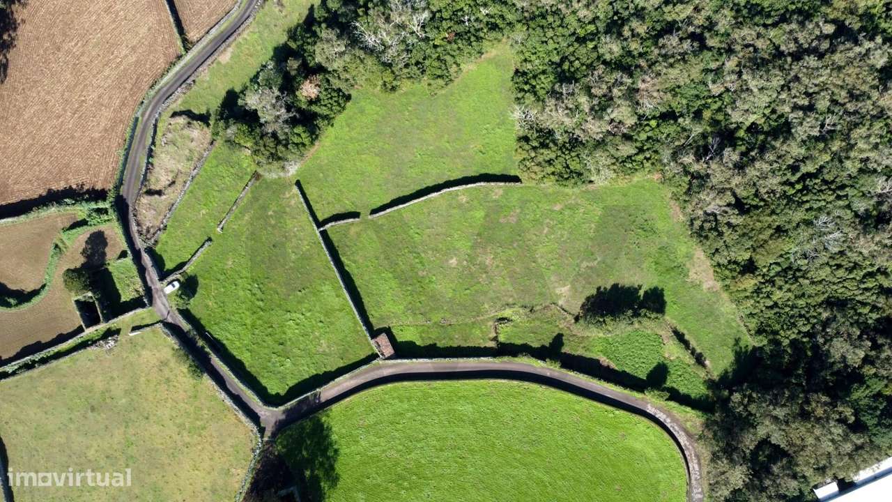 Terreno Rústico com mata - Pico do Alho - Rabo Peixe - Ribeira Grande - Grande imagem: 3/21