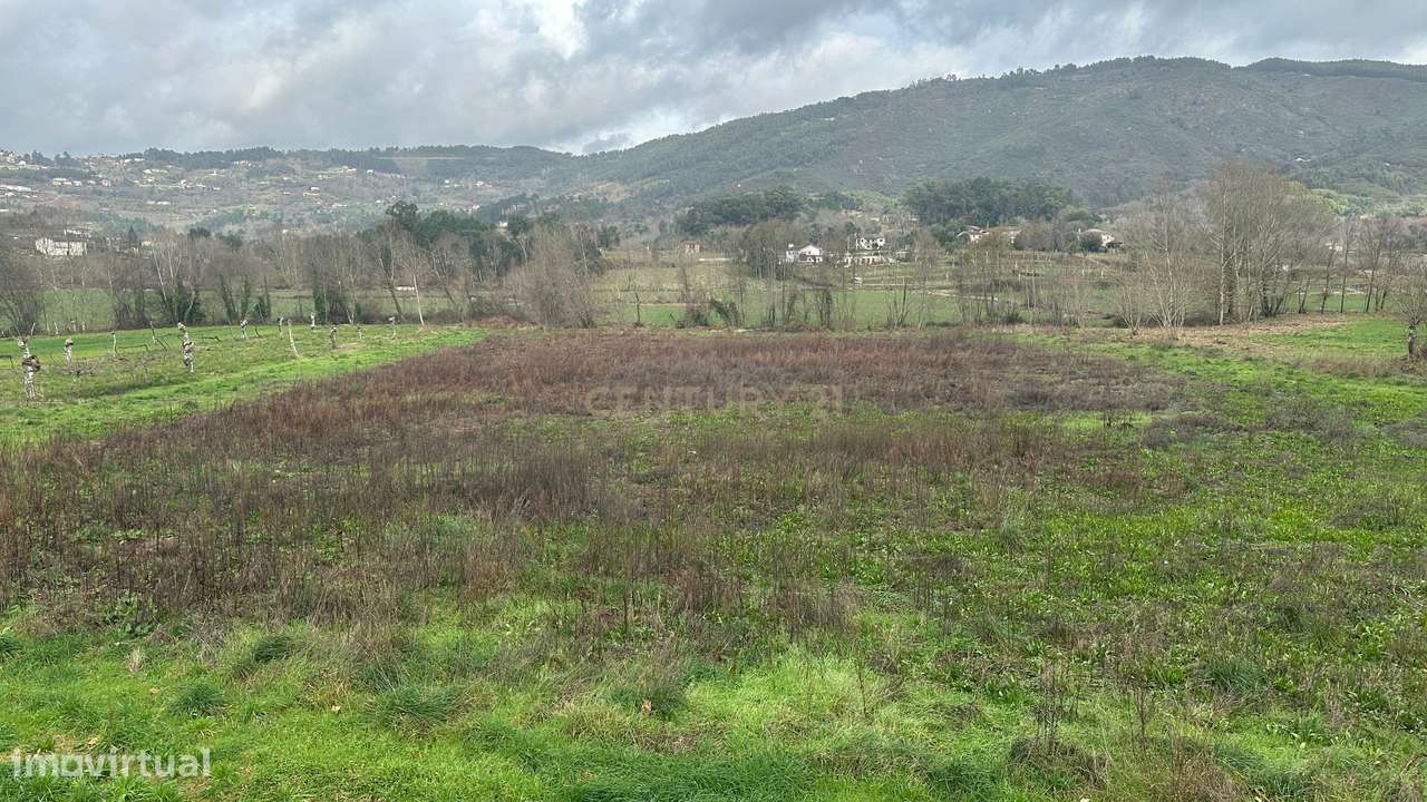 Quintinha para Venda – Um Refúgio Único em Plena Natureza a confrontar - Grande imagem: 5/24