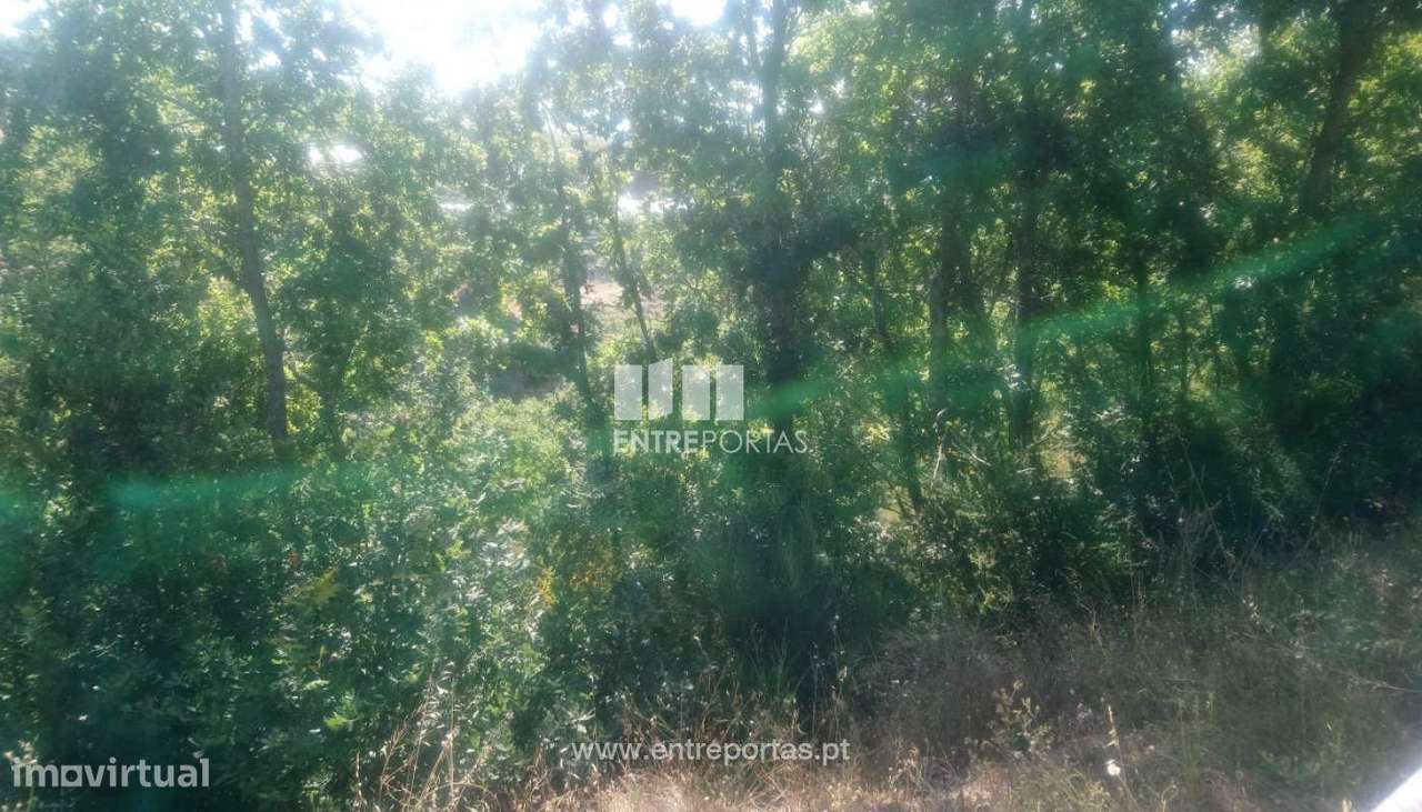 Venda Terreno p/ plantação agrícola, Soalhães, Marco de Canaveses - Grande imagem: 3/30