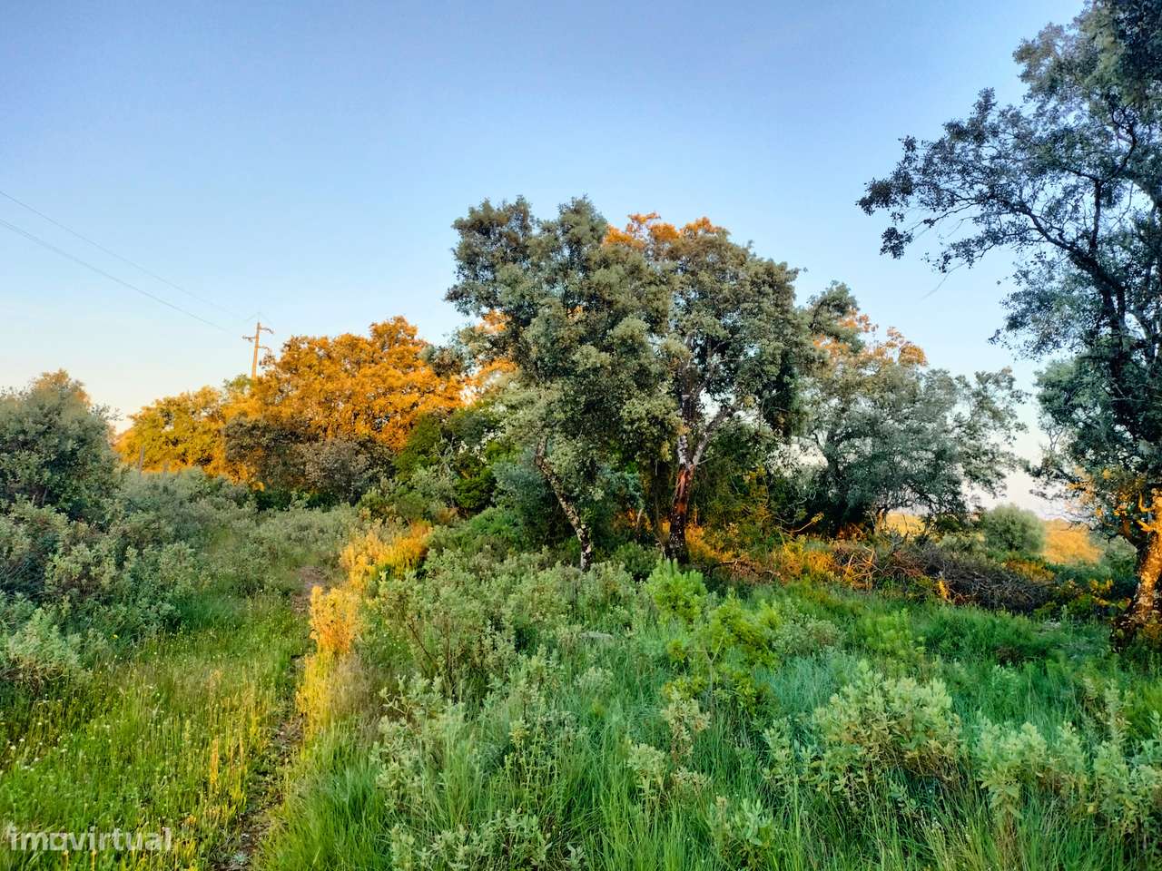 Moradia para Recuperar em Pernes - Grande imagem: 3/8