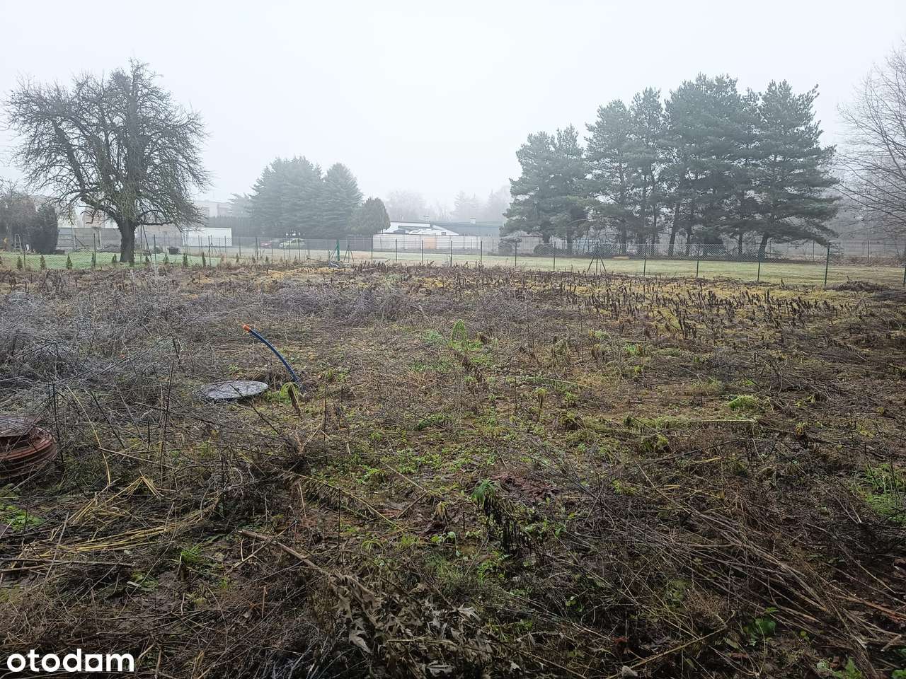 Działka na dom mieszkalny jednorodzinny dwulokalowy - Pełny obrazek: 5/9