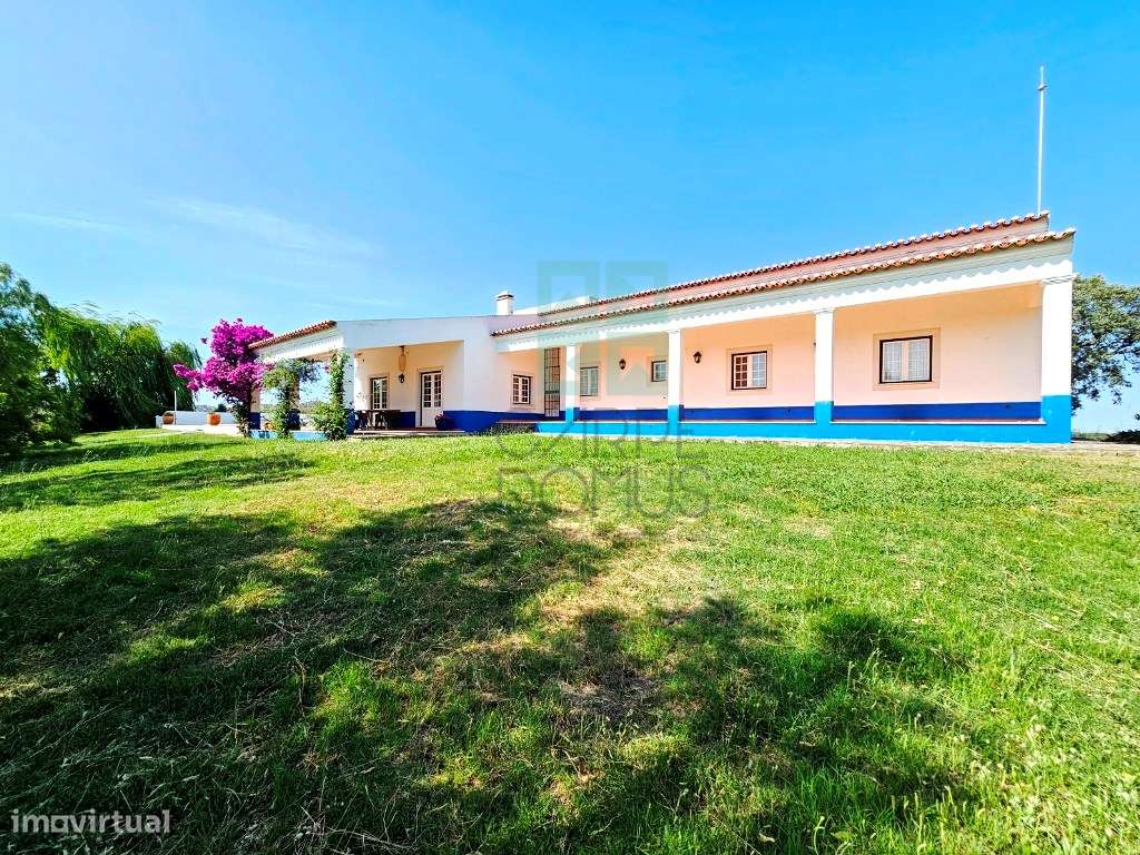 Herdade equestre com moradia T5 e piscina, 93,5ha, em Ourique, Alen...-29
