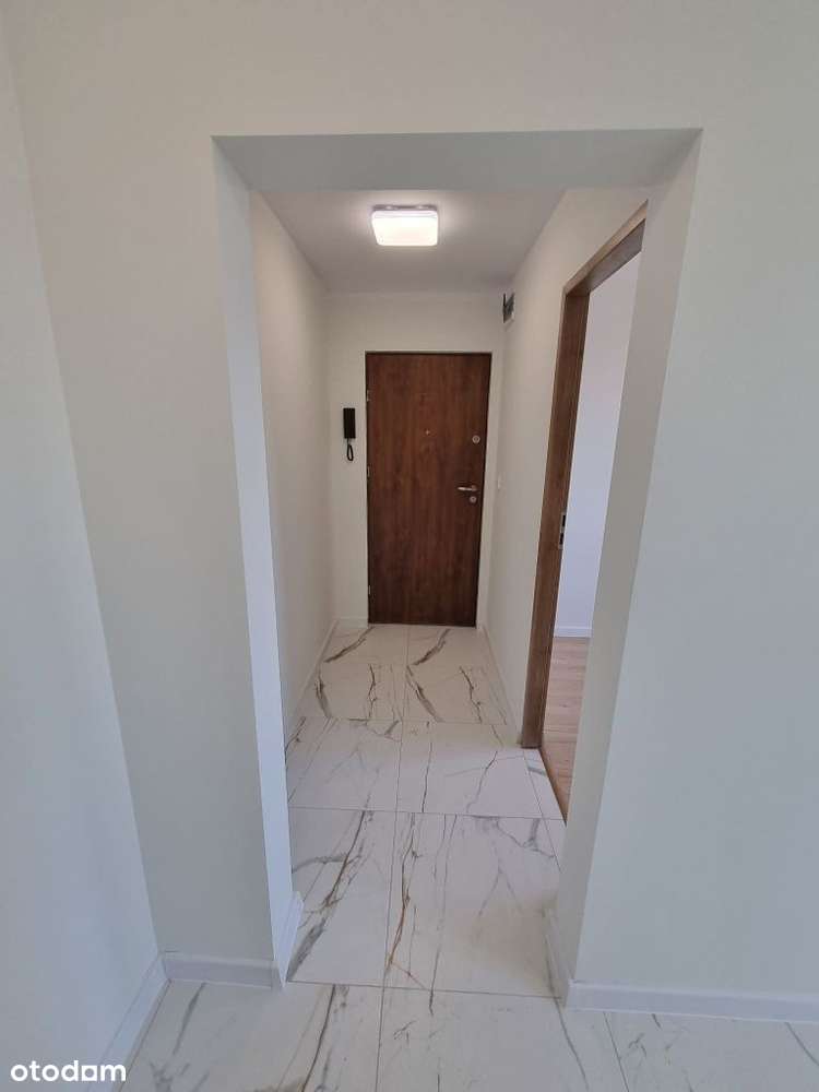 cztery pokoje, po generalnym remoncie, balkon, Puł-19