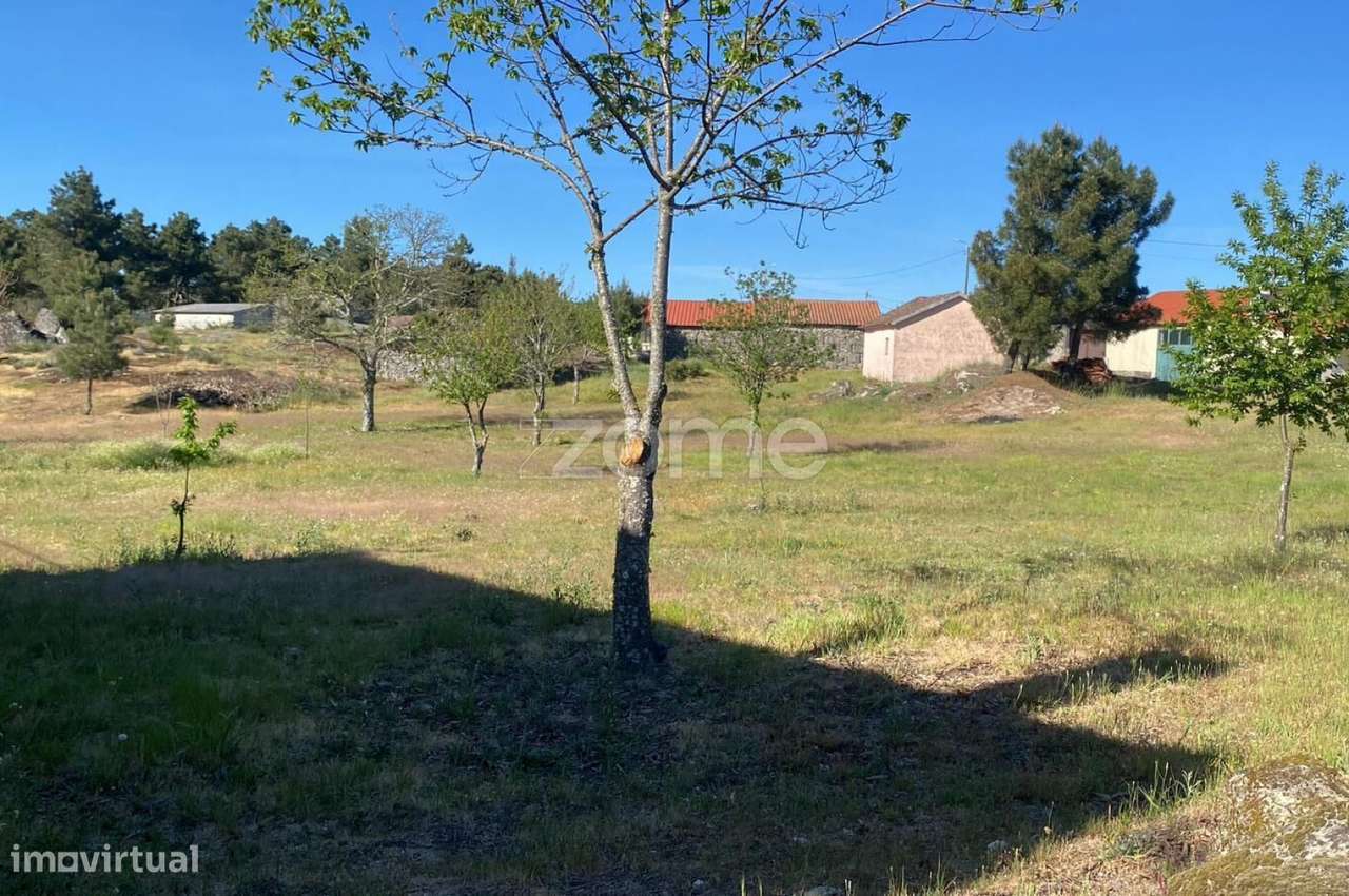 Propriedade Única em Vila Chã – Terreno Misto com Elevado Potencial...-8