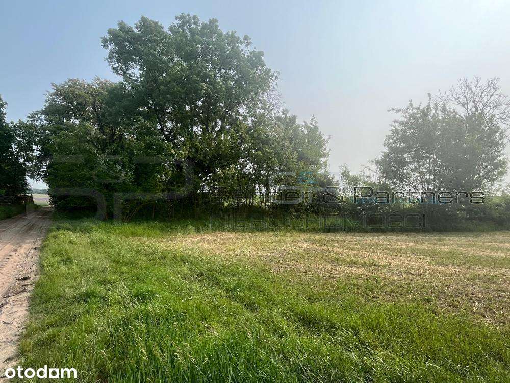 Działki budowlane 800m² okazja! Polecam serdecznie - Pełny obrazek: 2/4