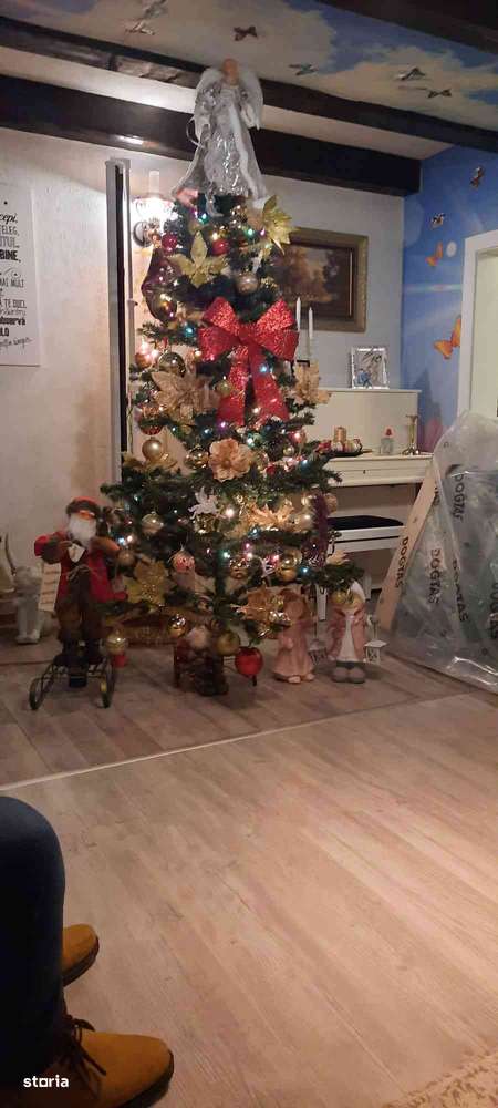 Casă Govajdie - Imagine principală: 4/18