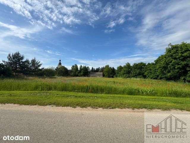 Kotowice-Działka-Las-blisko Wrocław/ Szewce - Pełny obrazek: 2/13