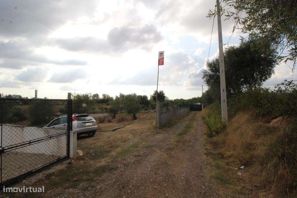 Excelente terreno com 2170m2, perto de Cernache. - Grande imagem: 2/5