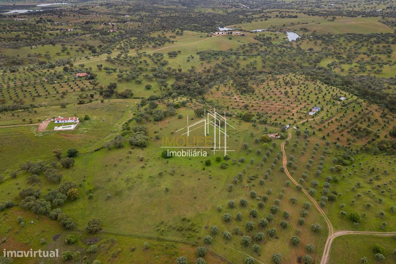 MONTINHO DO CHIADO - MALARRANHA - PAVIA-49