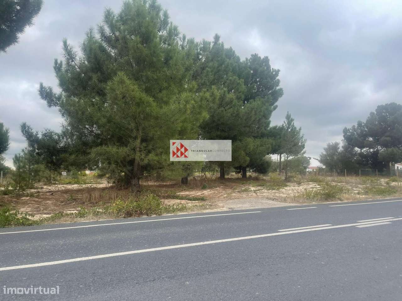 Terreno com 1796m2 para construção de moradia - Venda do Alcaide, P... - Grande imagem: 3/3