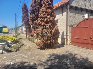 Casa cu piscina,central,Uileacul de Cris,Bihor - Imagine principală: 3/20