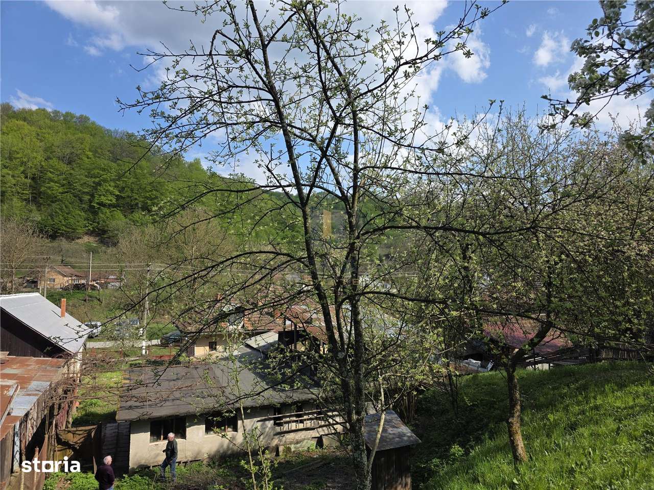 Casa cu teren generos in zona turistica Nadrag Timis-10