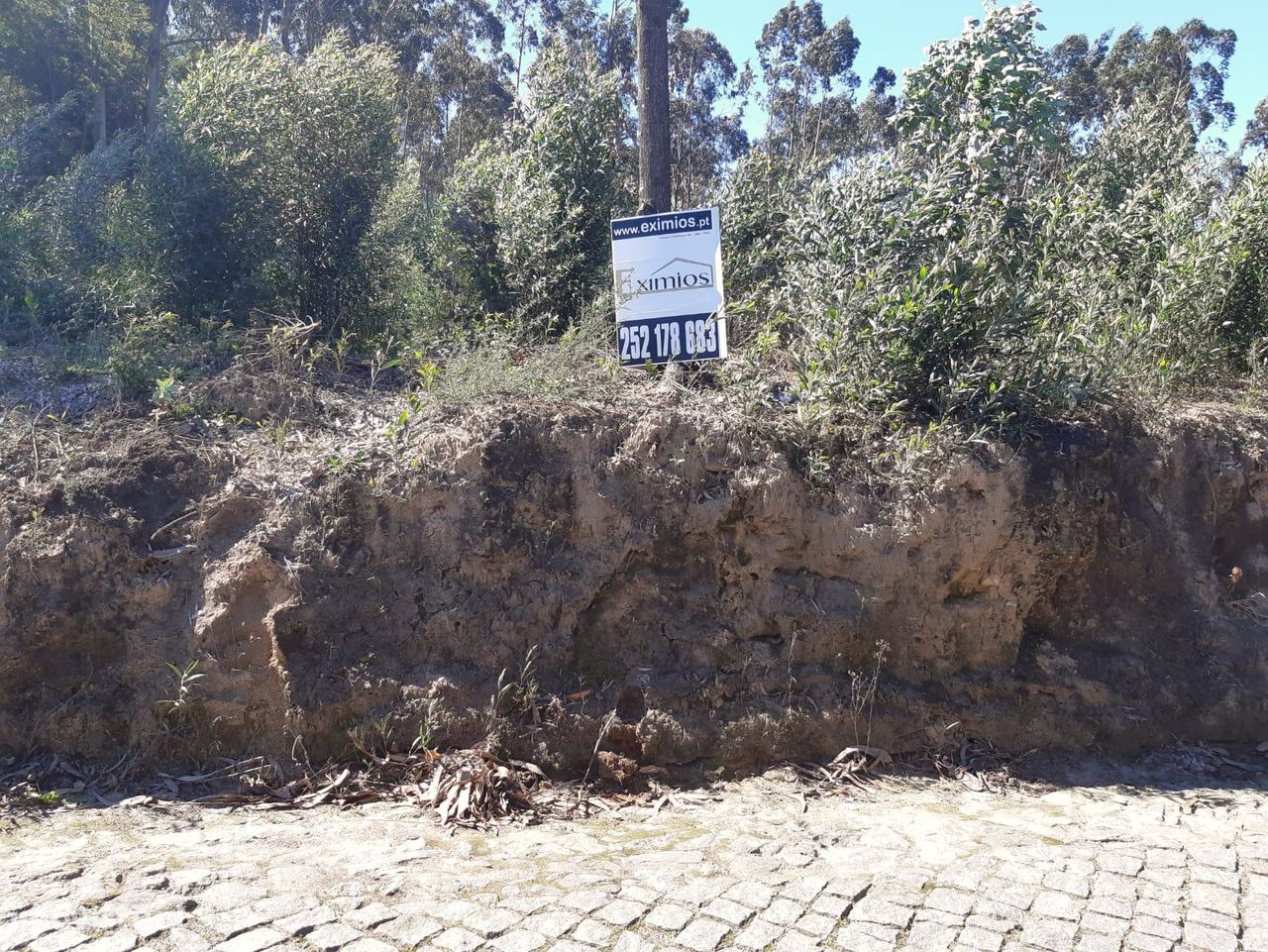 Terreno para construção industrial, em Gião