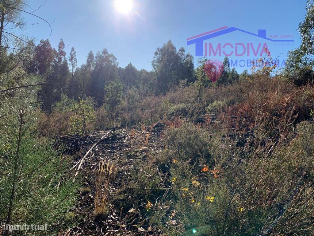 Terreno rústico em Vila Facaia-1