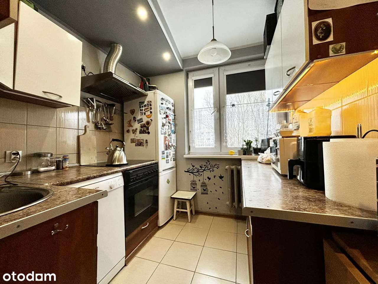 Mieszkanie na PARTERZE- Stare Miasto-7