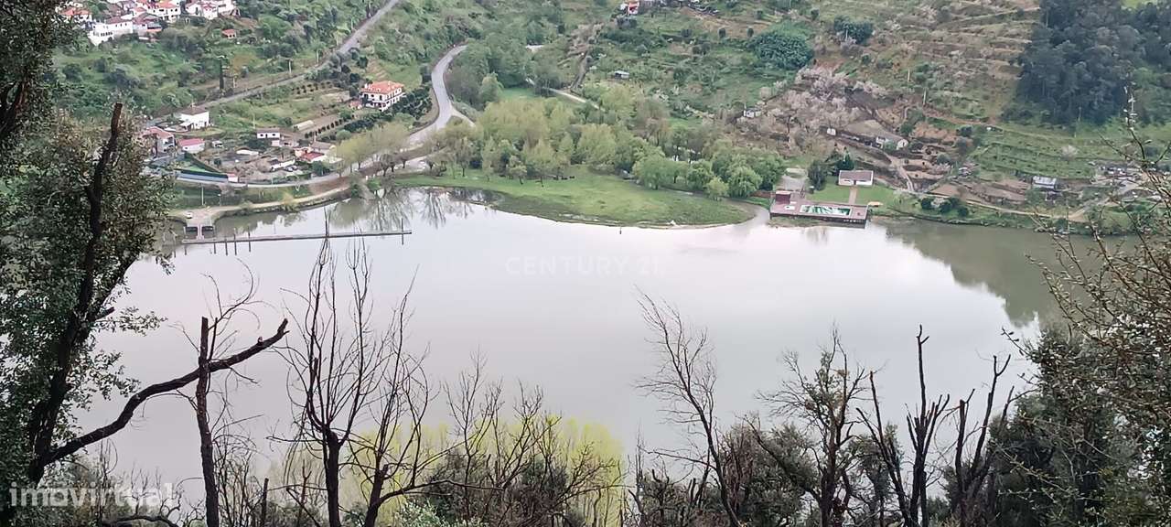 Terreno florestal com vista para a praia fluvial de Porto de Rei em Ba - Grande imagem: 5/45