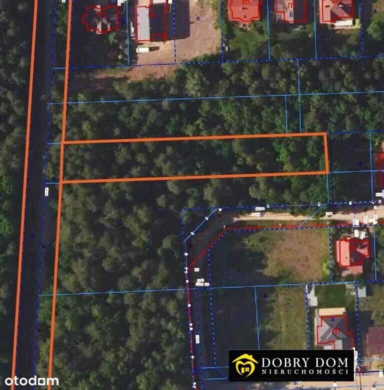 Działka w lesie z możliwością  zabudowy - Pełny obrazek: 2/5