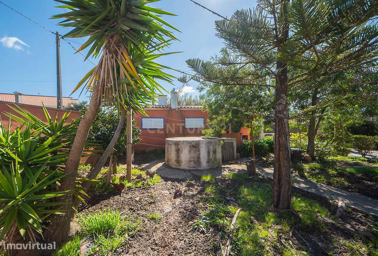 Quinta de Sonho em S. João das Lampas: Espaço, Autonomia e Conforto-10